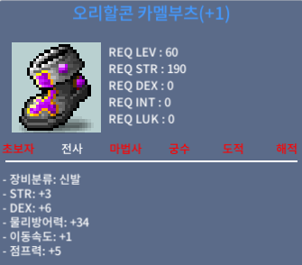 오리할콘 카멜부츠(+1) / 1000 / 힘3 덱6 합9