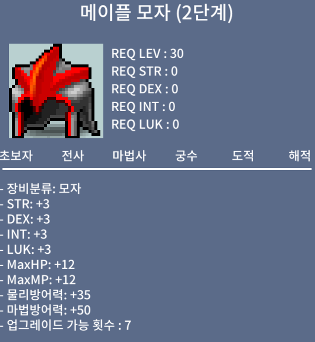 메이플 모자 2단계 / 10,000,000 / 메이플 모자 2단계 / 채팅