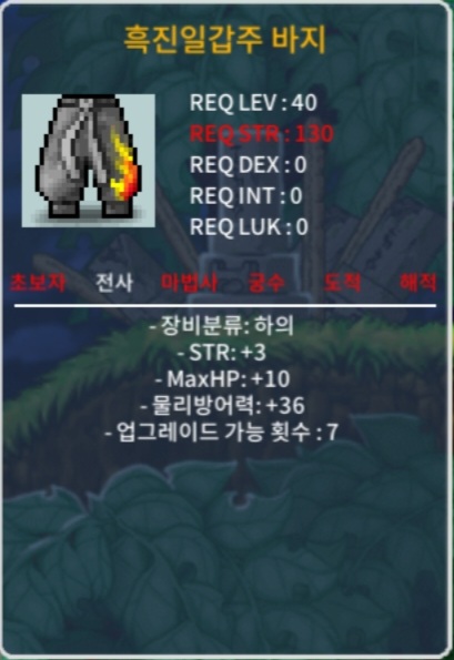 흑진일갑주 바지 / 20 / 힘3