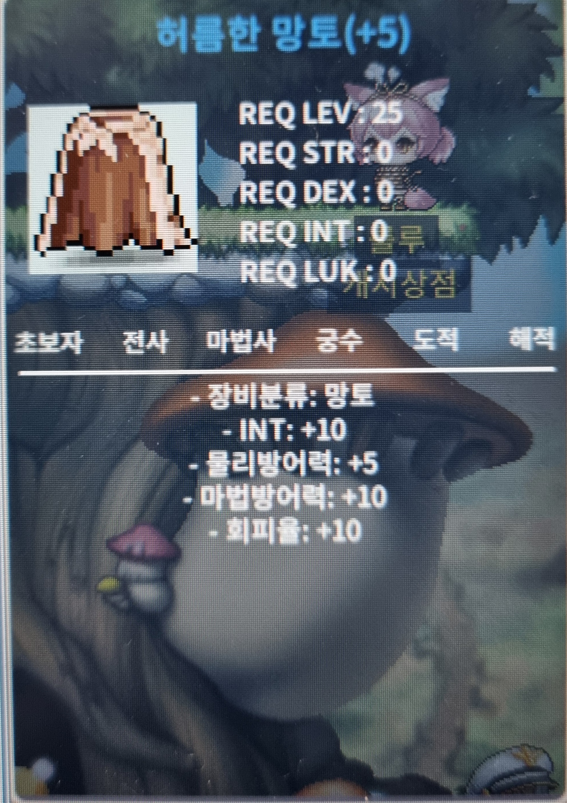 인10 허망 999판매 합니다 / 9999999 / 허름한망토 / 암벽