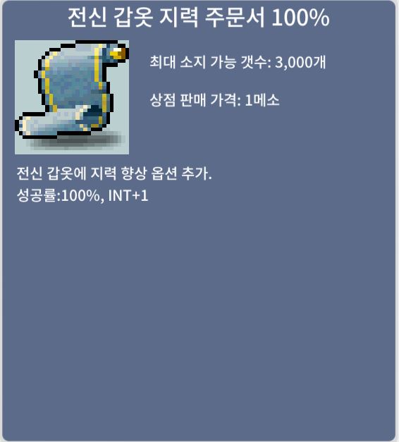 전신 갑옷 지력 주문서 100% / 500 / 3장 / 채팅