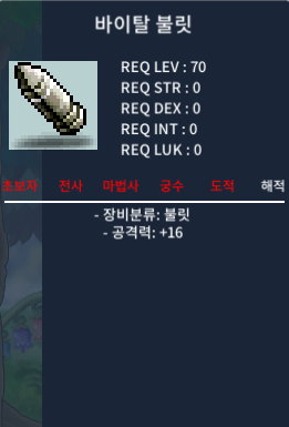 바이탈 불릿 70제 / 30
