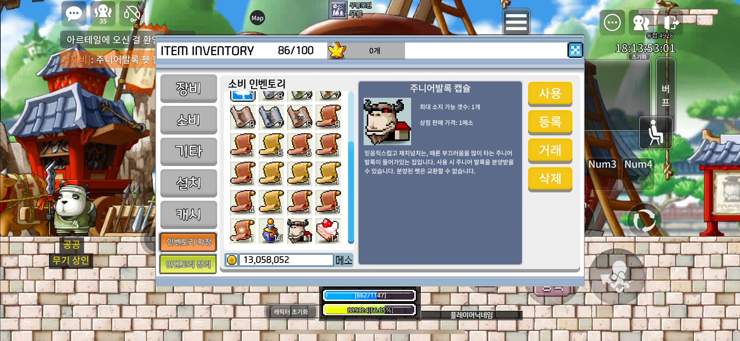 주니어발록 펫 / 1200만 메소 / 카카오톡 오픈톡
