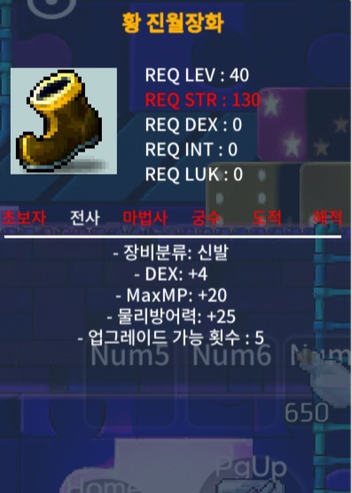 40제 신발 황 진월장화 덱 4 팝니다. / 30만원