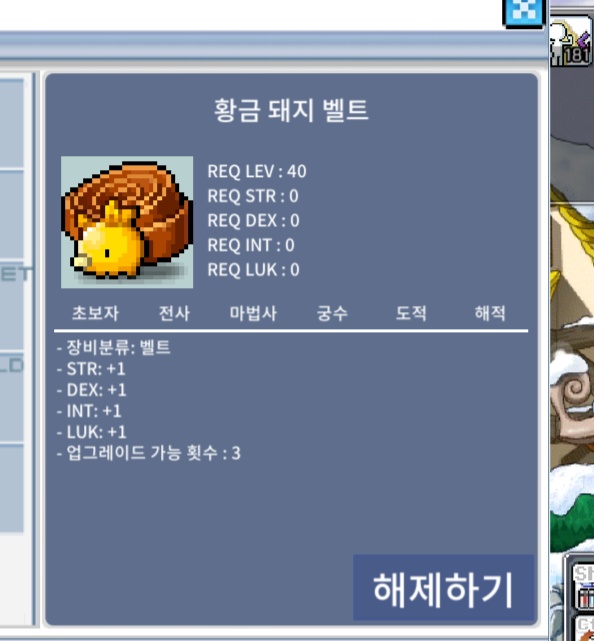 황금돼지벨트 급처@@ / 2400 / 채팅주세요~