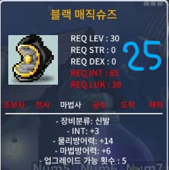 LEV 30 블랙 매직슈즈 INT+3 물리방어력+14 마법방어력+6 25만원 팜니다 (법사 신발) / 250,000 / https://open.kakao.com/o/sDhOpkdg